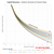 Net Present Worth (NPW) of a Cash Stream