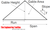 Roof Framing