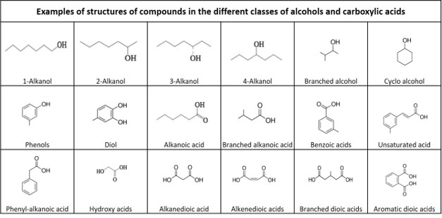 Molecular structure  alcohol acid