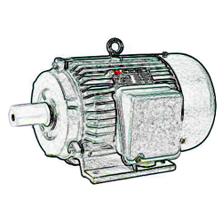 electric motor